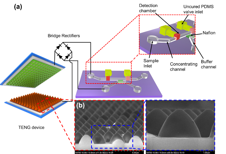 Figure 2. TENG-driven nanofluidic preconcentrating device.