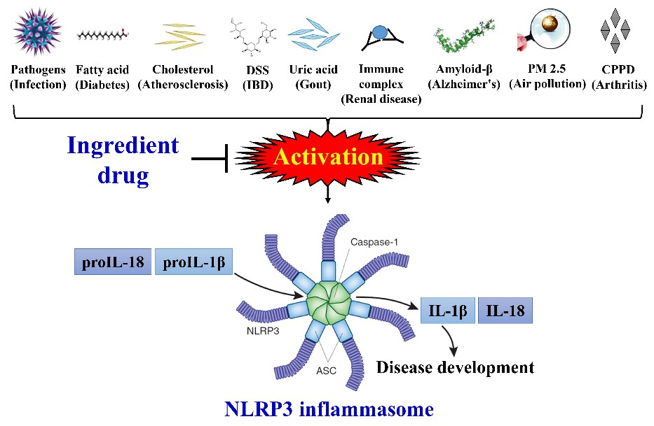Figure 2. Disease-specific platforms for anti-inflammatory drug development