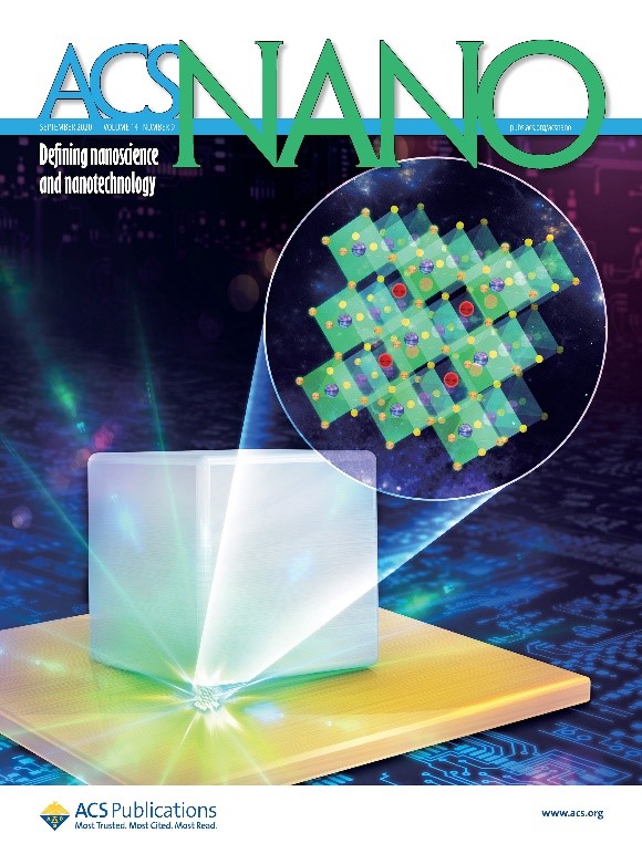 Ultralow-threshold Plasmonic Nanolaser by Using a Single Perovskite Quantum Dot