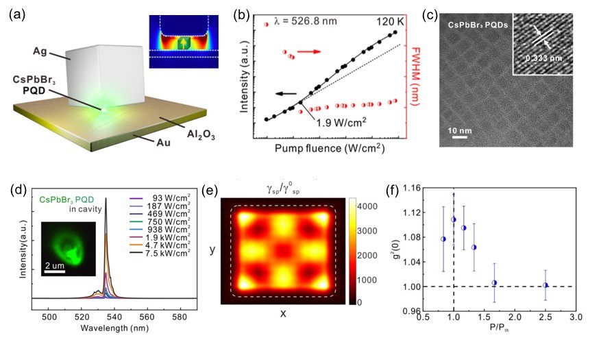 鈣鈦礦量子點奈米雷射的光譜特性、時間同調性量測與電磁場模擬說明奈米雷射產生之機制。