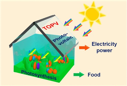 Figure 4. A semi-transparent organic photovoltaics with a PCE of ∼10% for electric power generation and an average visible light transmittance of 34% for photosynthesis was achieved for TOPV