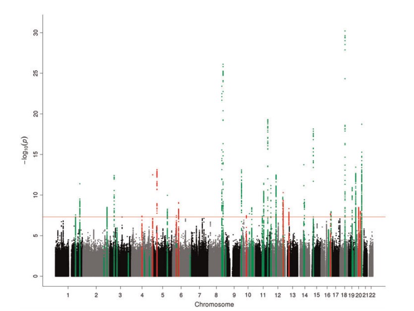圖二：曼哈頓圖解釋全基因組關聯研究的關聯結果（ncase = 36 948，ncontrol = 30 864）。 綠色=已知風險位點（在500 kb或r 2> .2以內，帶有一個變異）； 紅色=新的風險位點（外部500 kb或r 2> .2，帶有一個變異）。
