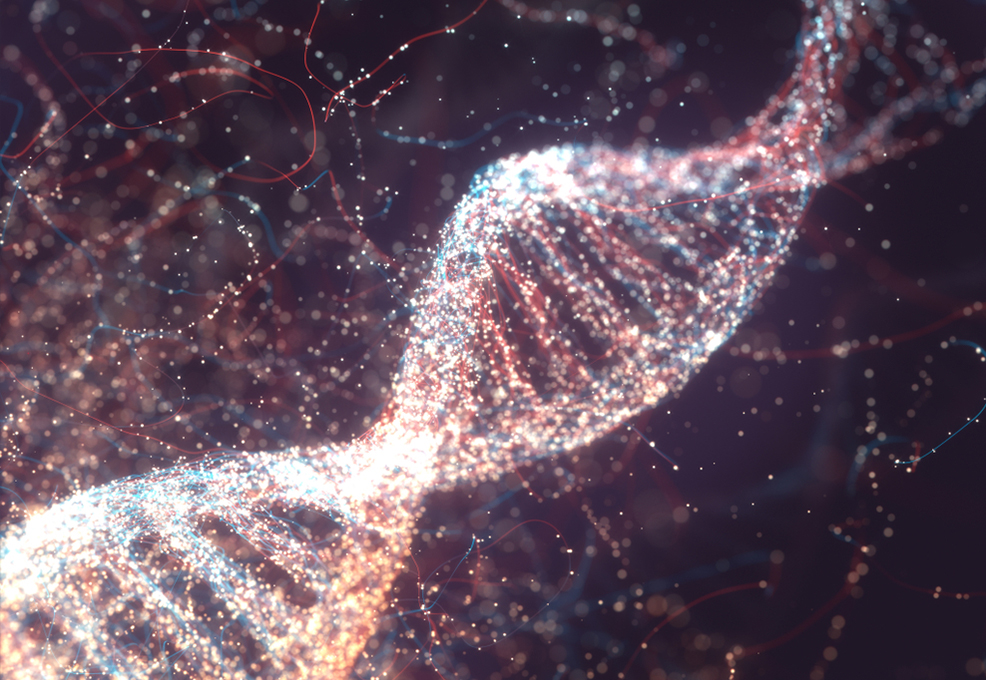 你用的光電科技來自魚的DNA：全球首創光感DNA奈米複合物技術，DNA 光電材料大突破