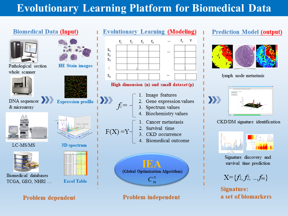 Evolutionary learning platform for biomedical data.