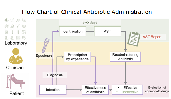 Figure 2. Flow chart of clinical antibiotic administration. The turnaround time of AST takes 3~5 days to generate a valid report.