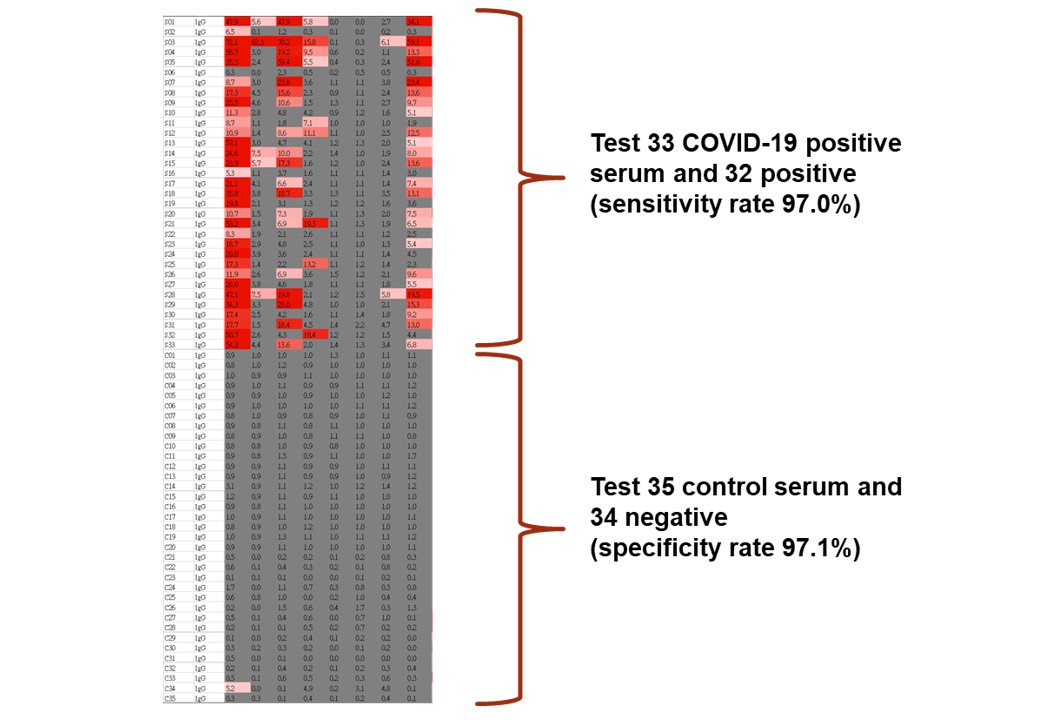Figure 3. Serological tests using the coronavirus protein microarray