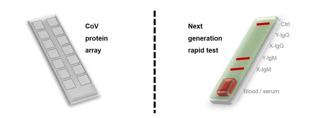 Figure 4. Products for the COVID-19 blood tests