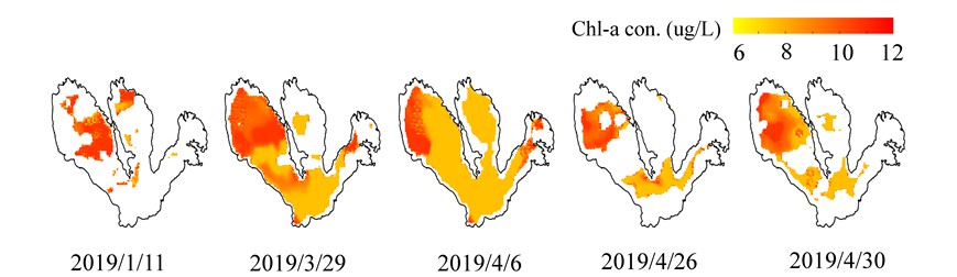 Figure 4. Spatial-temporal chlorophyll-a concentration maps in 2019. The white areas represent no information on satellite images due to cloud cover.