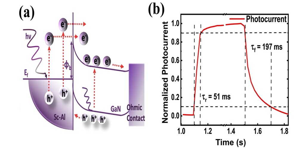 Figure 5. (a) schematic energy band alignment of photodetector at reverse bias. (b) Calculation of rising and falling time of photodetector for 355 nm laser excitation. 51 ms and 197 ms.