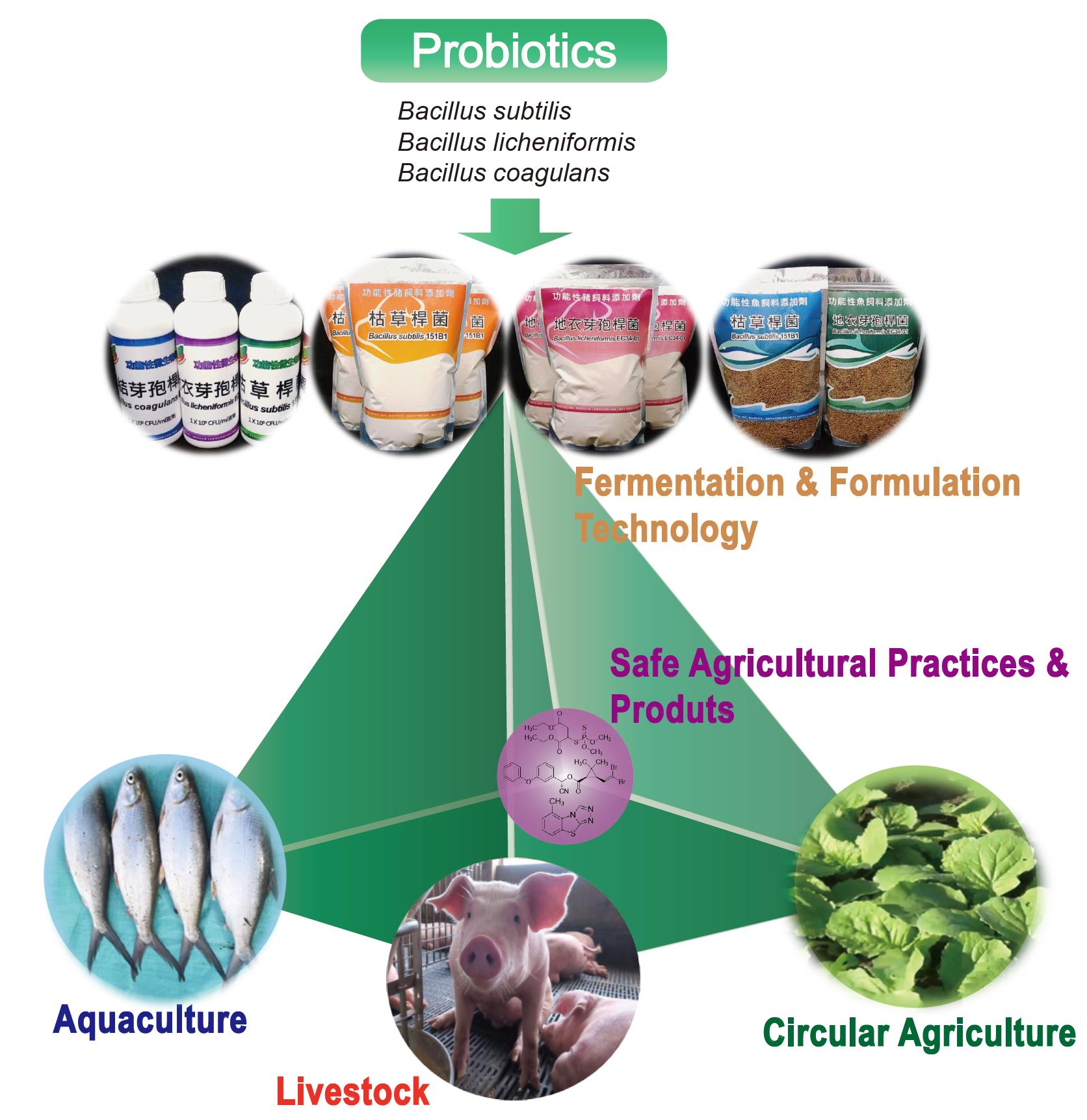 Fig. 1 The transdisciplinary team from the Department of Plant Pathology, the Pesticide Residue Analysis Center at National Chung Hsing University, and the Agricultural Technology Research Institute jointly discover multi-industries application potential of three Bacillus probiotics. They established a standard protocol of the fermentation and formulation technology using the pilot plant and industrial scale facilities and provided application technology in crop health care, circular agriculture, livestock and aquaculture.