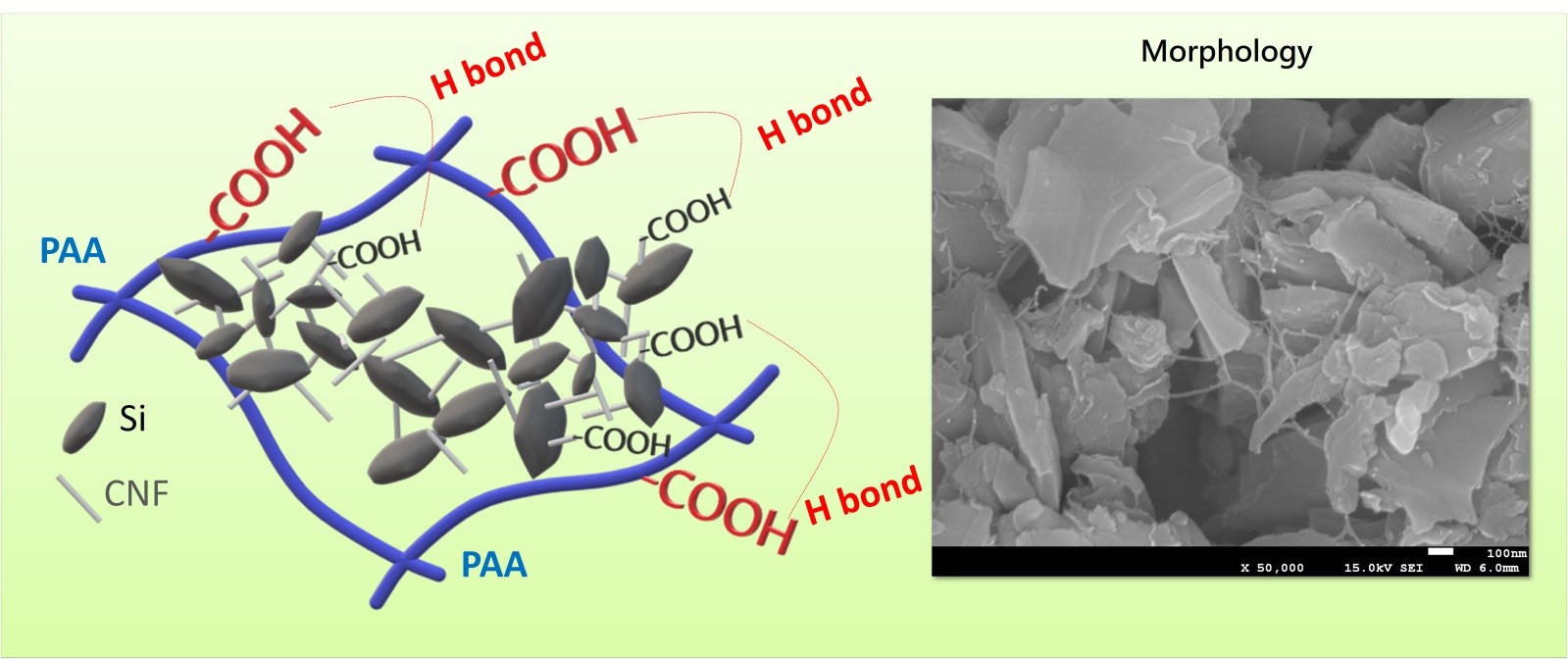 Figure 2. The mechanism of combining cellulose nano-fiber (CNF) with waste silicon and its SEM picture.