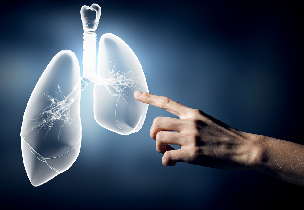USP24 Promotes Lung Cancer Progression