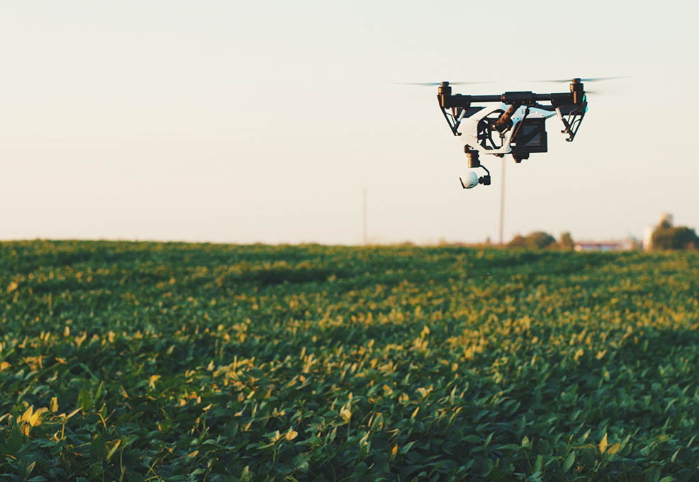 無人機航拍影像協助農業災害評估