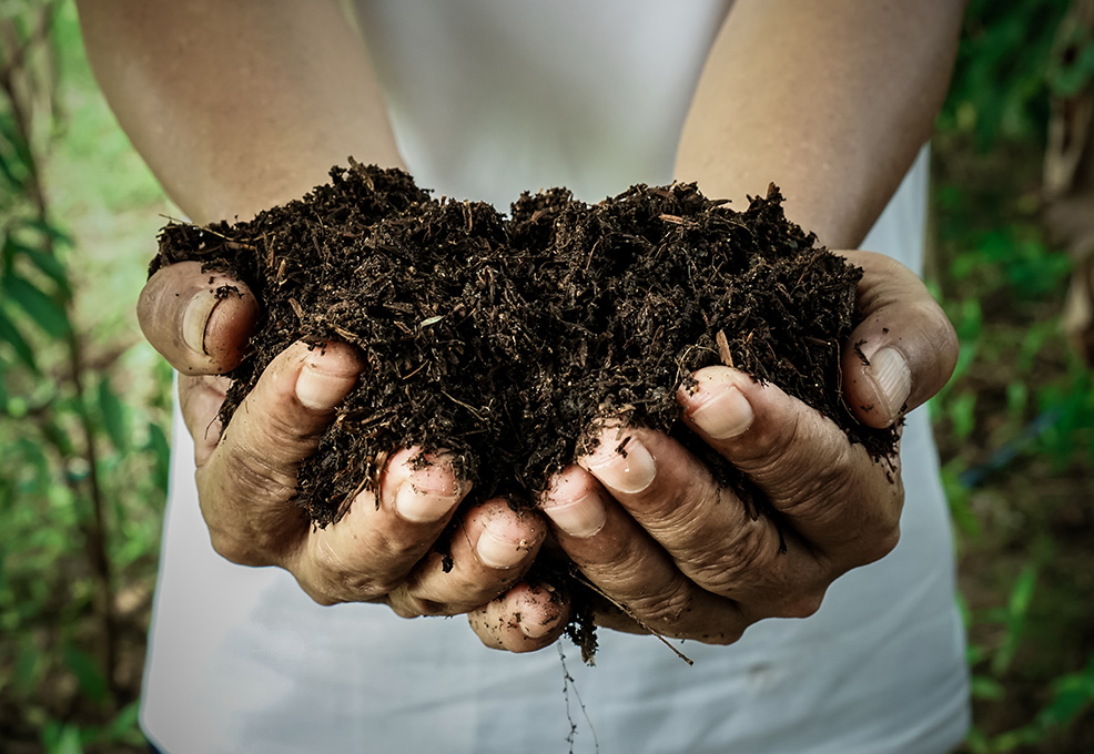 TTT® Enzyme Composting Technology: 3 Hours To Produce Organic Fertilizer!